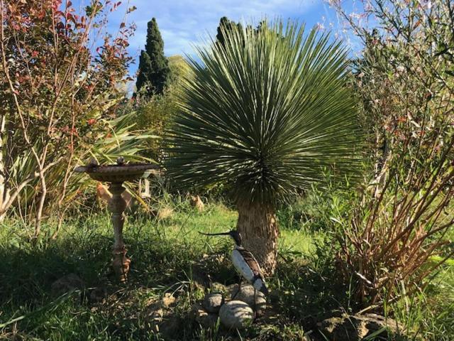 Appartement Dans Mas Provencal Grans Exterior foto