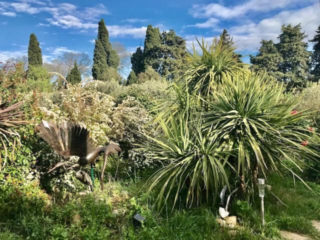 Appartement Dans Mas Provencal Grans Exterior foto