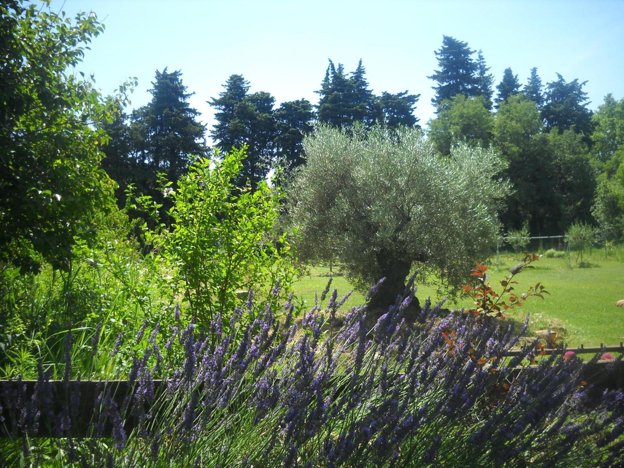 Appartement Dans Mas Provencal Grans Exterior foto
